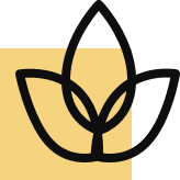 Aire fresco y naturaleza